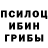 Псилоцибиновые грибы Magic Shrooms Infinit Kordyukov