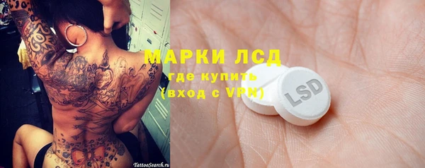 спайс Гусев
