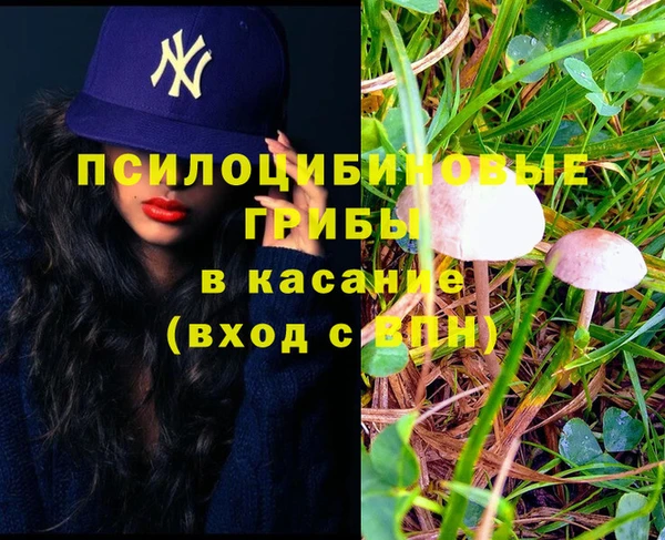 ПСИЛОЦИБИНОВЫЕ ГРИБЫ Балабаново