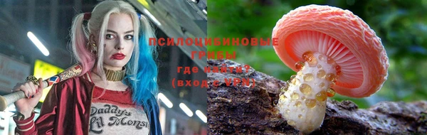 ПСИЛОЦИБИНОВЫЕ ГРИБЫ Балабаново