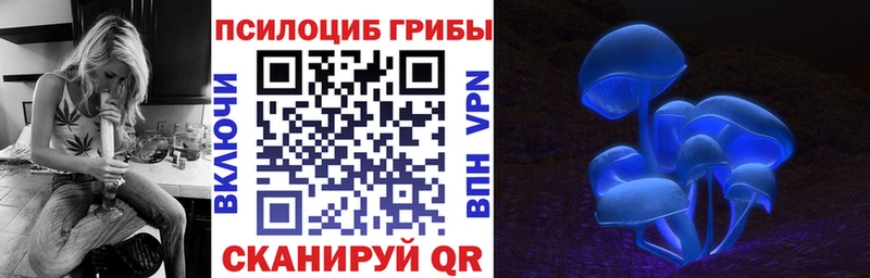 кракен сайт  Белово  маркетплейс Telegram  Галлюциногенные грибы Cubensis 